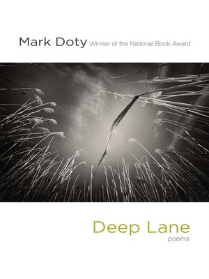 cover image of Deep Lane